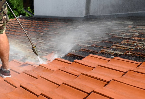 Best Local Pressure Washing Services  in Mayville, NY