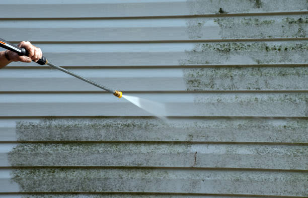 Best Concrete Pressure Washing  in Mayville, NY