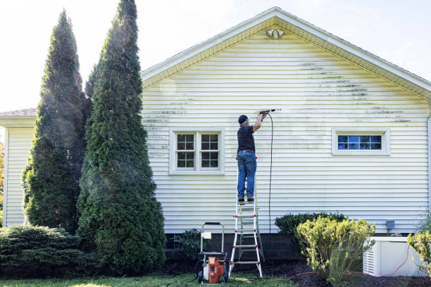 Trusted Mayville, NY Pressure Washing Experts