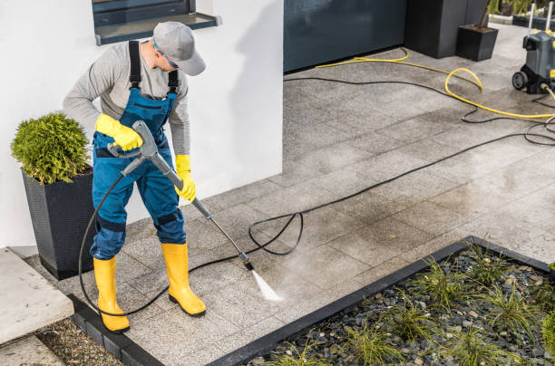 Best Exterior Home Cleaning  in Mayville, NY