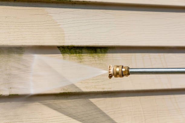 Best Pressure Washing Near Me  in Mayville, NY