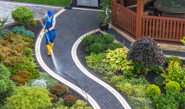 Best Pressure Washing Services Near Me  in Mayville, NY